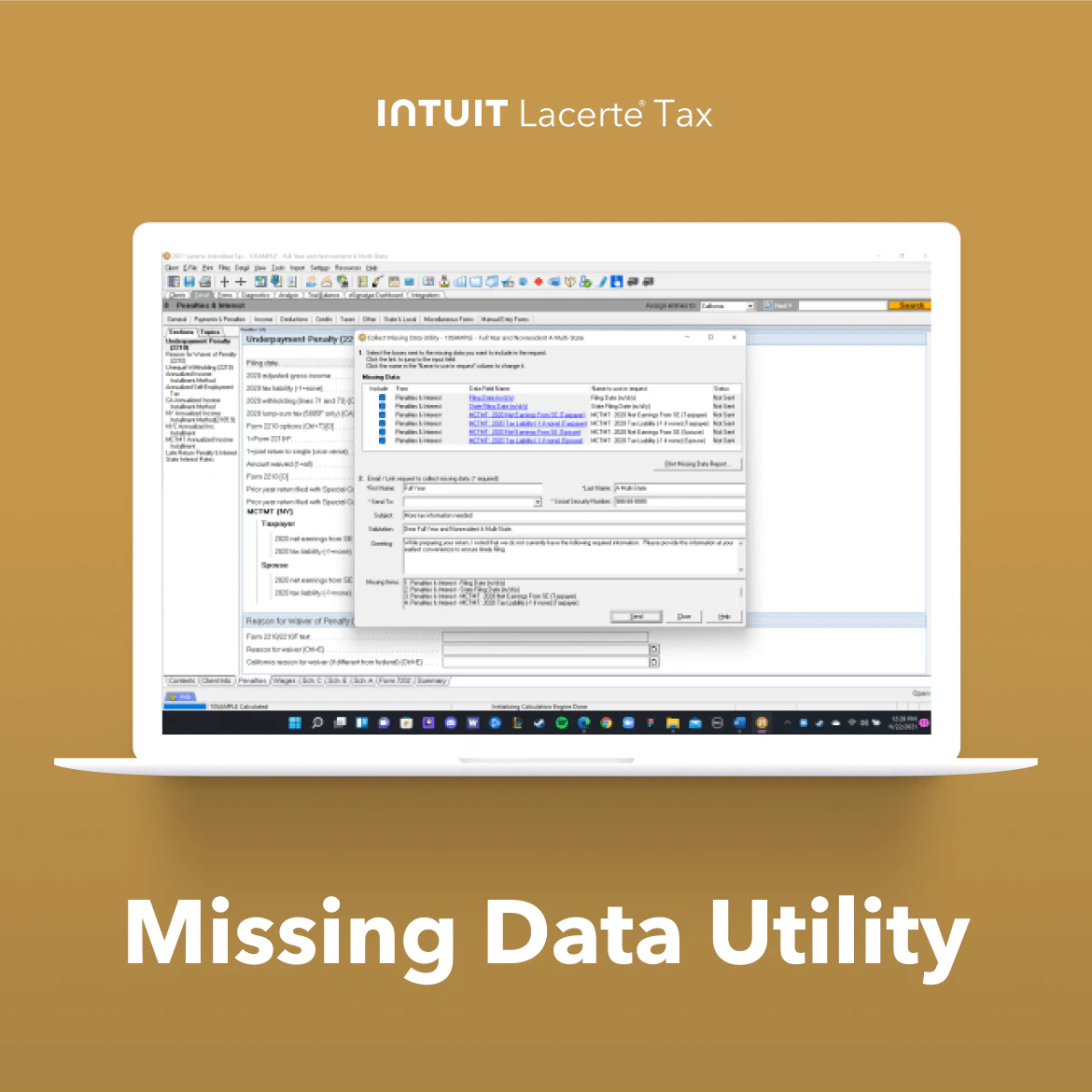 screenshot of Lacerte Tax